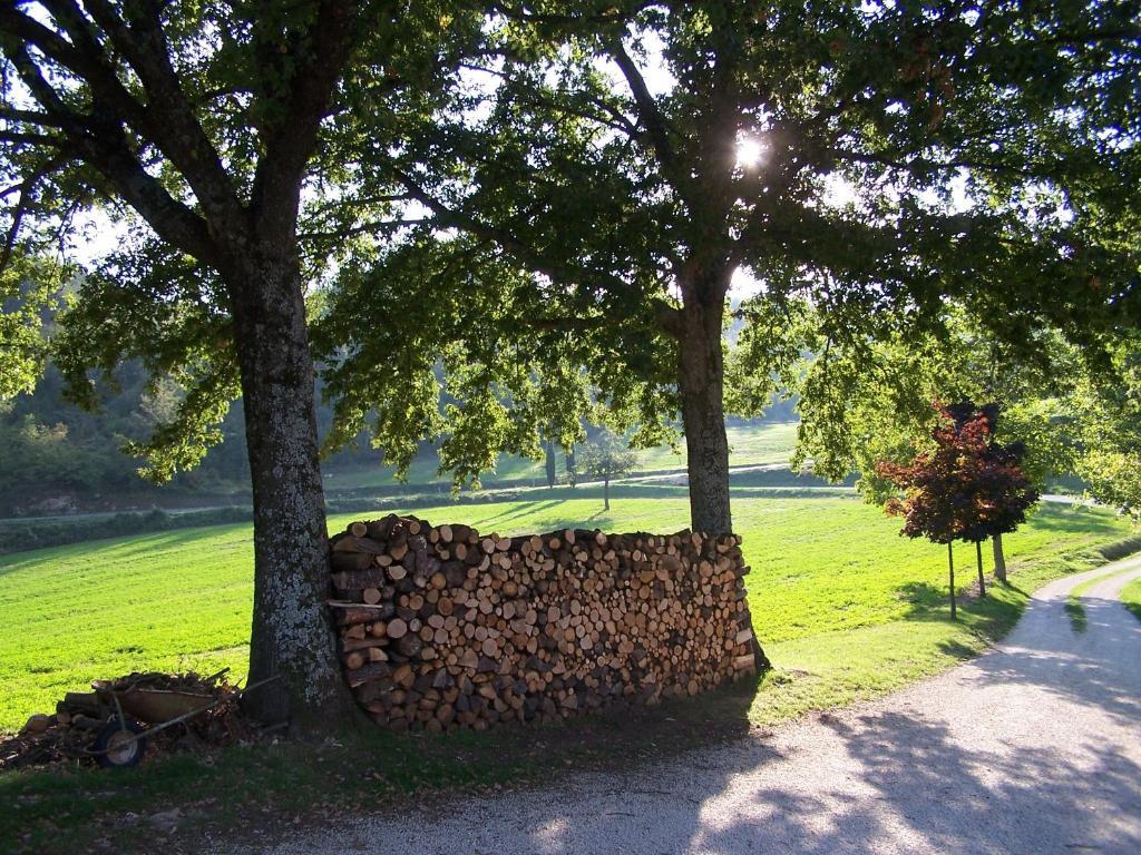 Villa Agriturismo Fontandrone à Pieve Santo Stefano Extérieur photo
